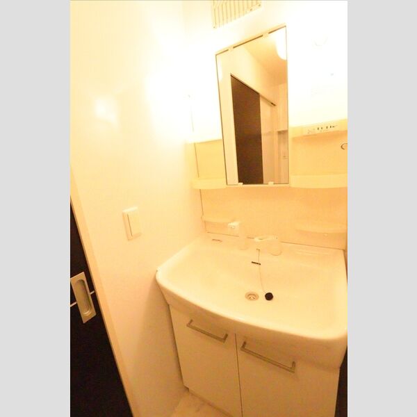 洗面所 (洗髪洗面化粧台)