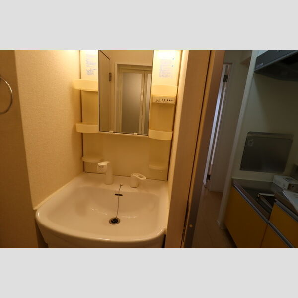 洗面所 (洗髪洗面化粧台)