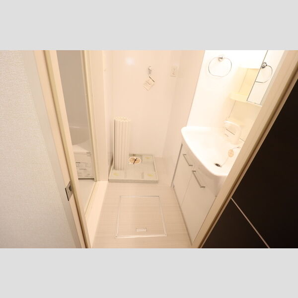 洗面所 (洗面所)