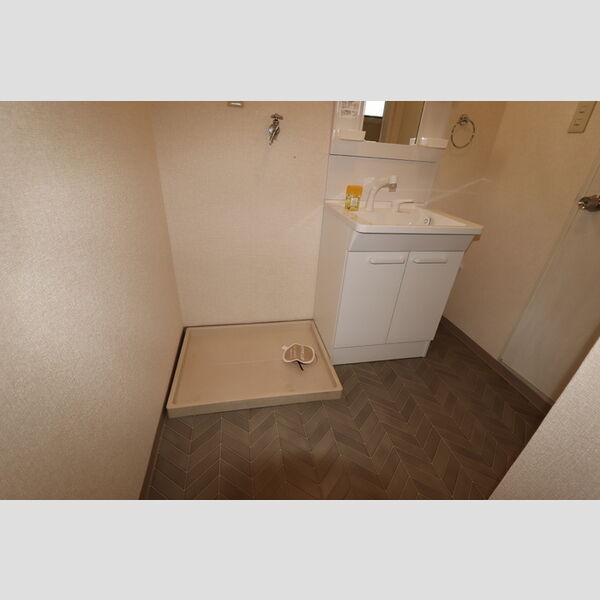 その他 (室内洗濯機置き場)