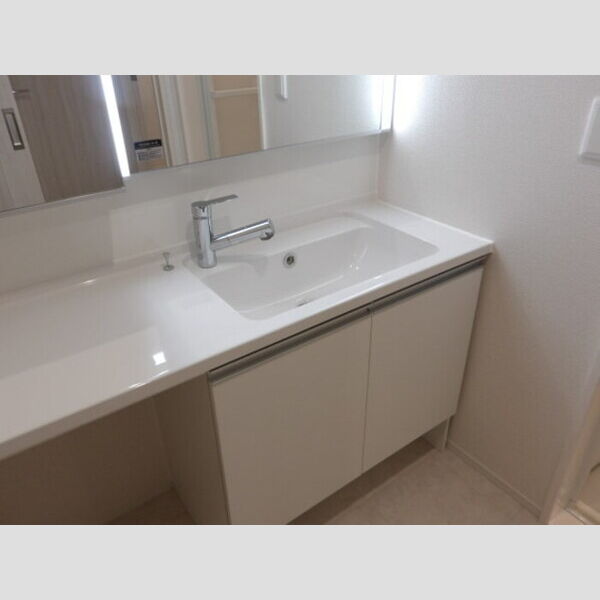 洗面所 (洗髪洗面化粧台)