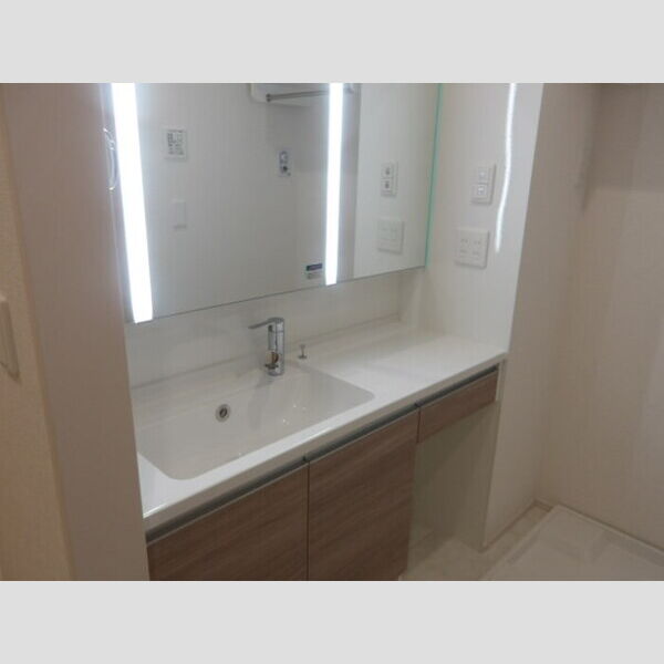 洗面所 (洗髪洗面化粧台)