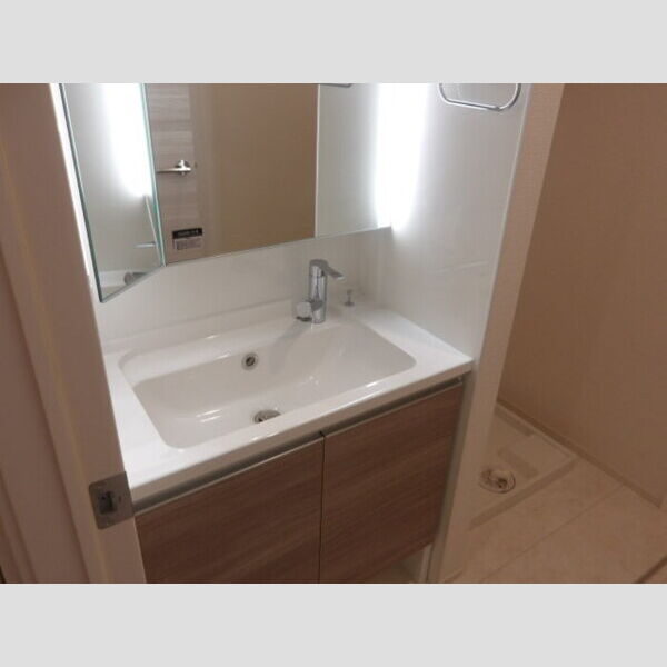 洗面所 (洗髪洗面化粧台)