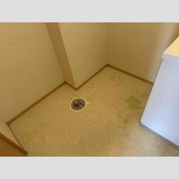 その他 (室内洗濯機置き場)