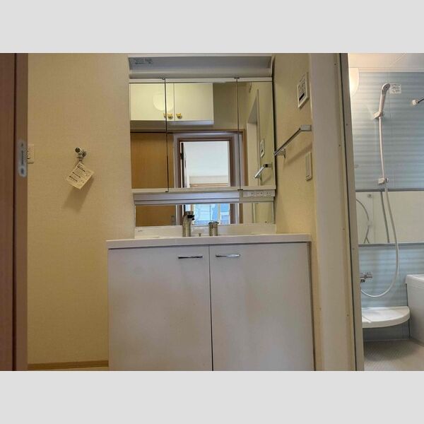 洗面所 (洗髪洗面化粧台)