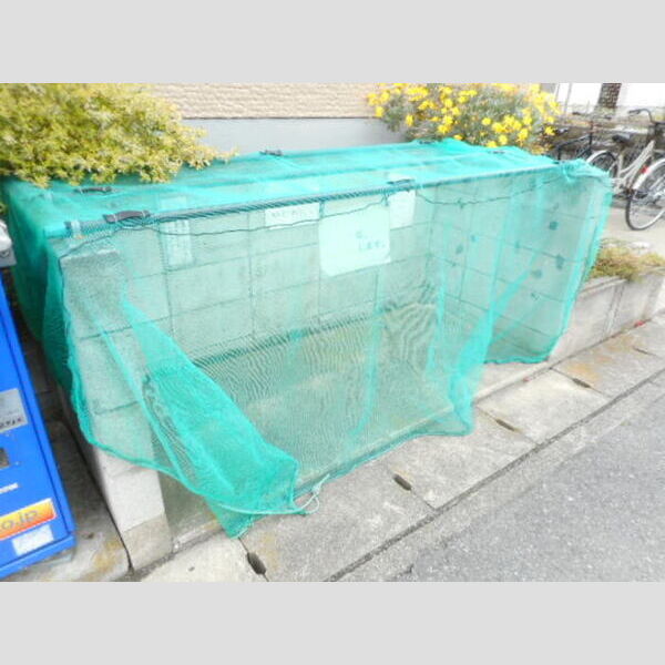 現地周辺 (入居者様専用ゴミ置き場)