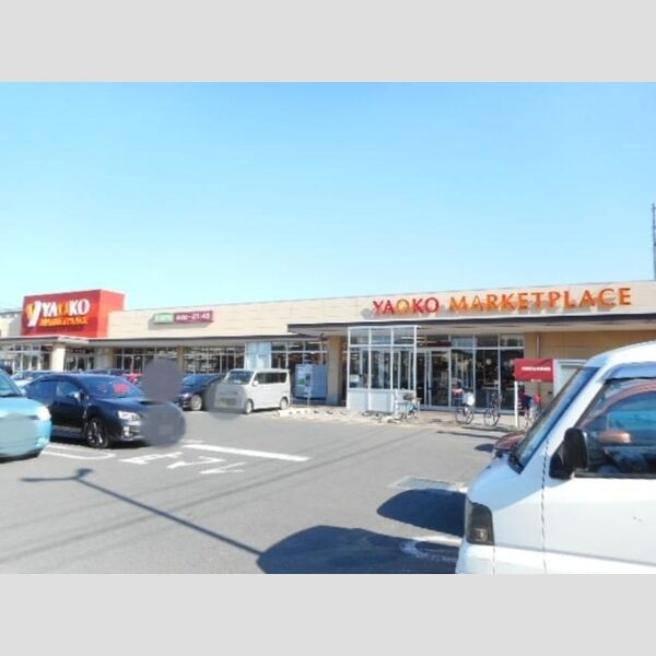 現地周辺 (ヤオコー市川新田店)