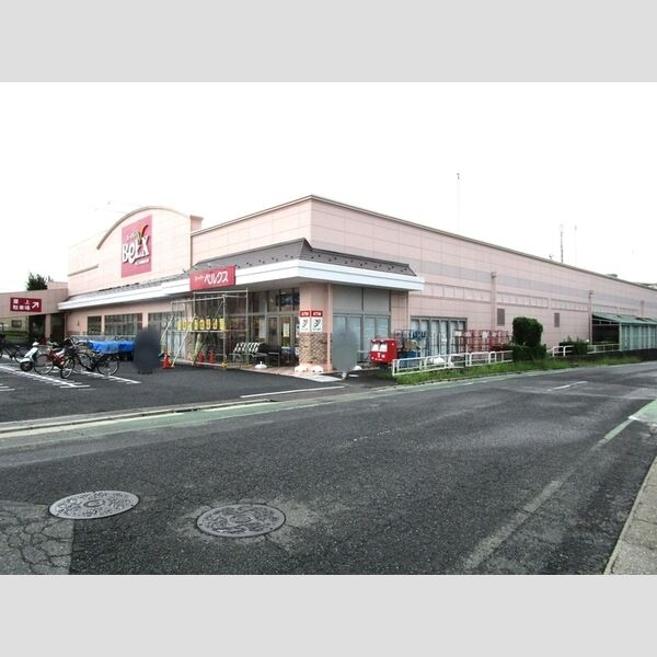 現地周辺 (ベルクス市川堀之内店)