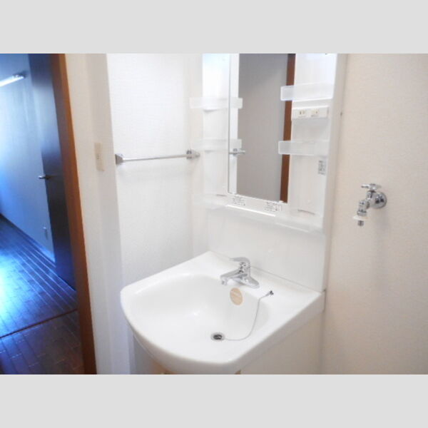 洗面所 (洗髪洗面化粧台)