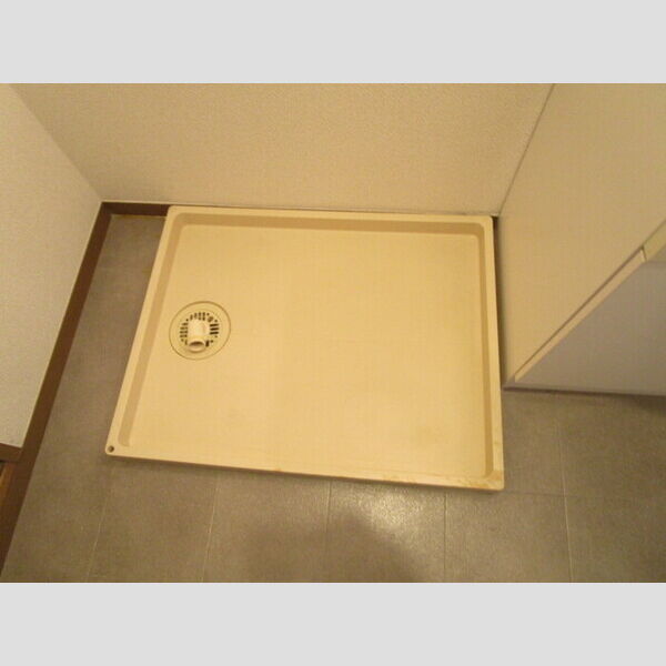 その他 (室内洗濯機置き場)