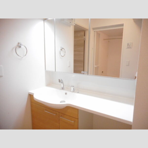 洗面所 (洗髪洗面化粧台)