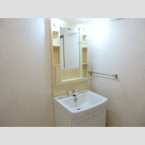 洗面所 (独立洗面台)