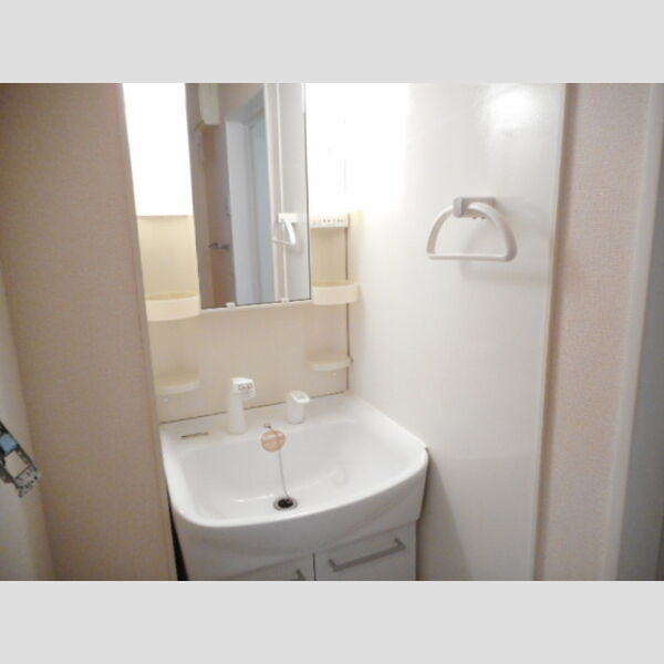 洗面所 (洗髪洗面化粧台)