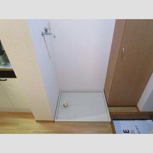 その他 (室内洗濯機置き場)