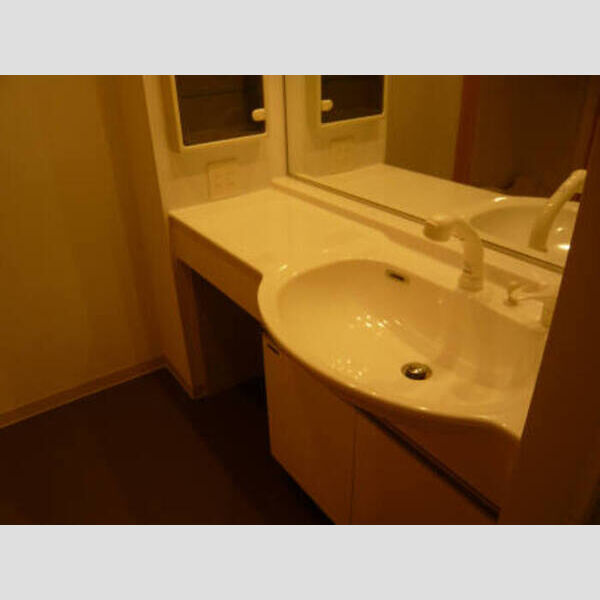 洗面所 (洗髪洗面化粧台)