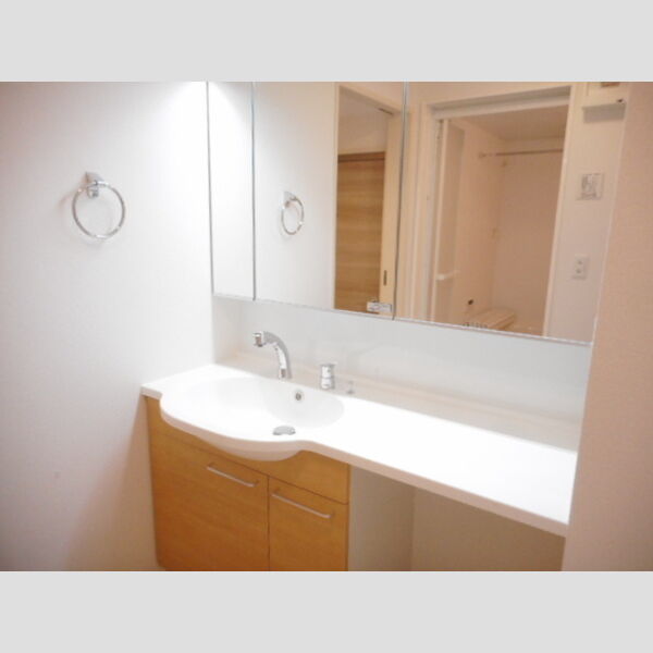 洗面所 (洗髪洗面化粧台)