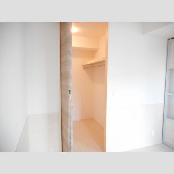 収納 (ウォークインクローゼット仕様)