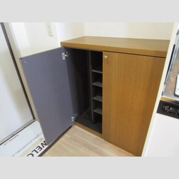 玄関 (カウンタータイプシューズBOX)