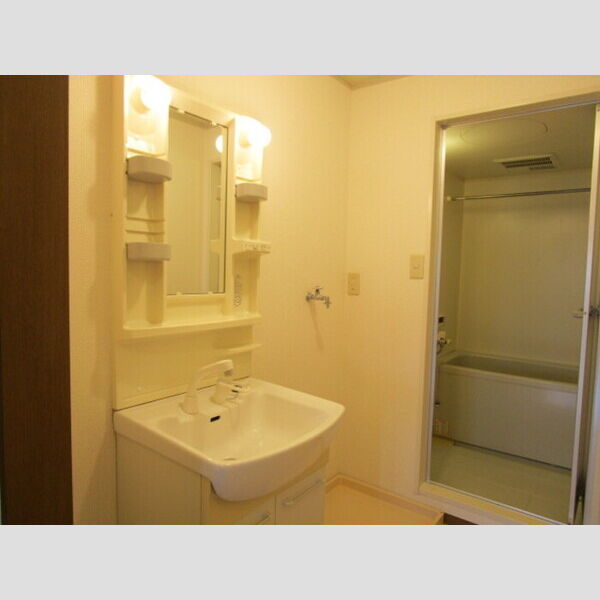 洗面所 (洗髪洗面化粧台)