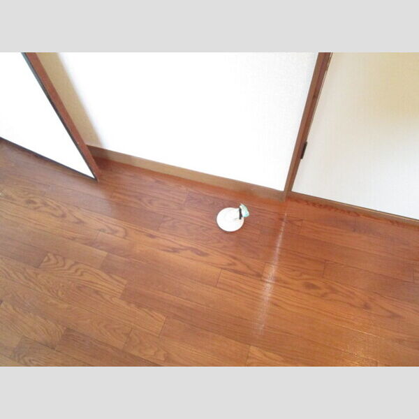 その他 (室内洗濯機置き場)