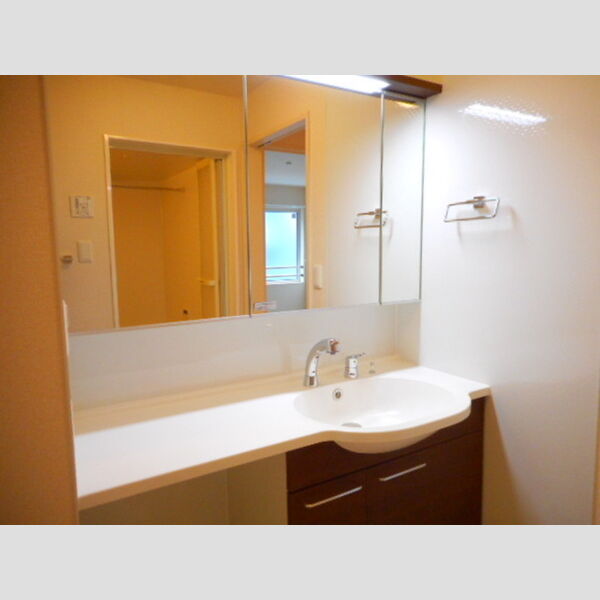 洗面所 (洗髪洗面化粧台)