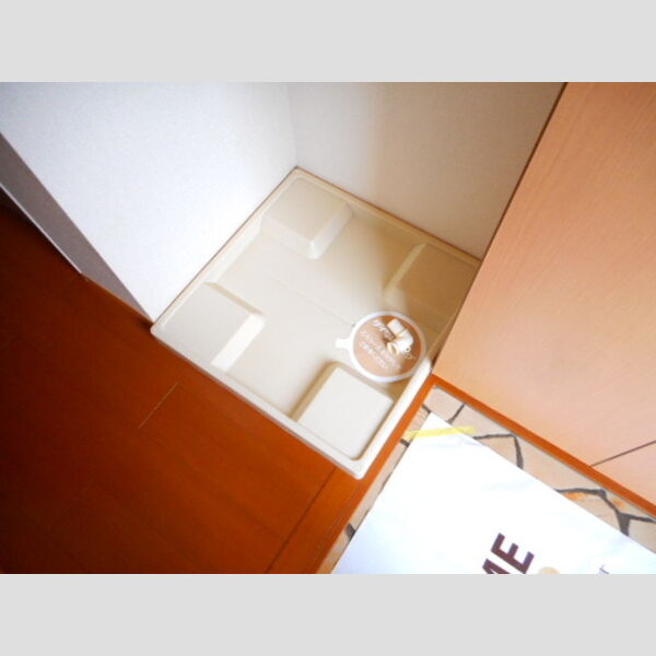 その他 (室内洗濯機置き場)
