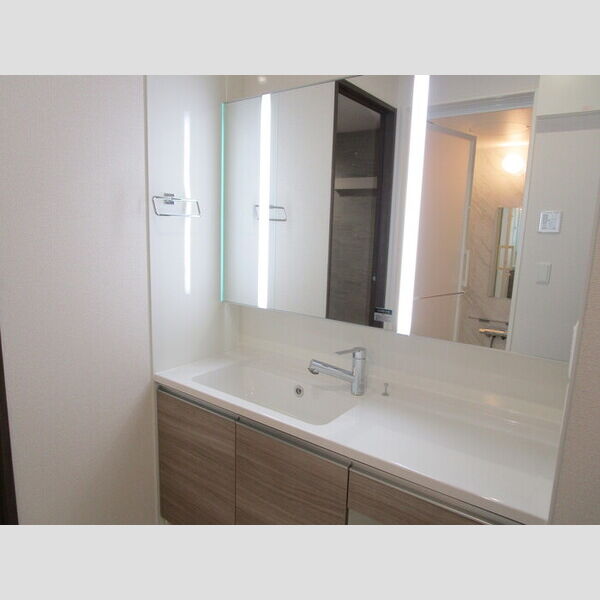 洗面所 (洗髪洗面化粧台)