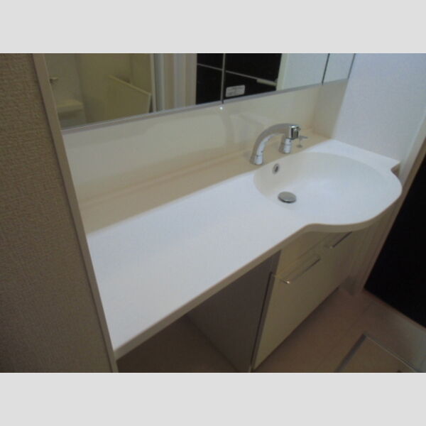 洗面所 (洗髪洗面化粧台)