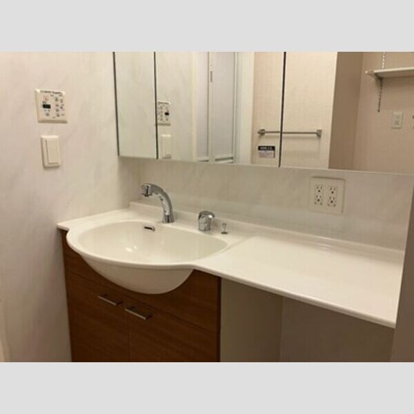 洗面所 (洗髪洗面化粧台)