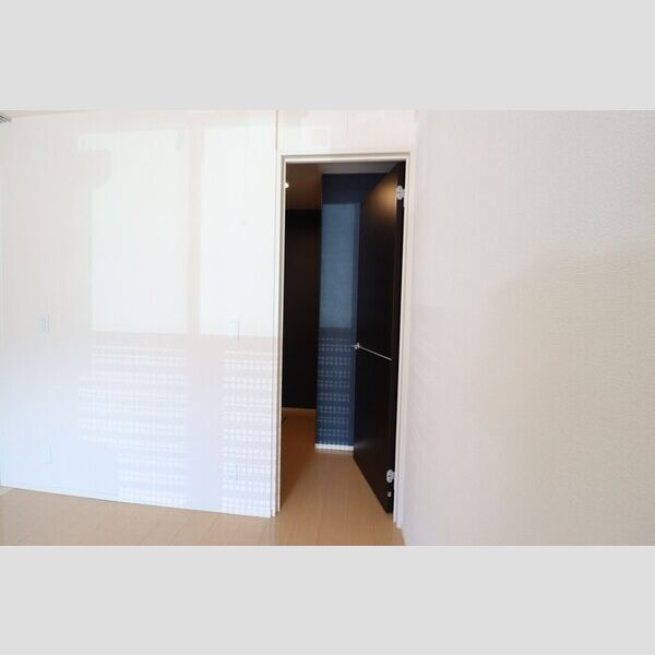 収納 (ウォークスルークローゼット)