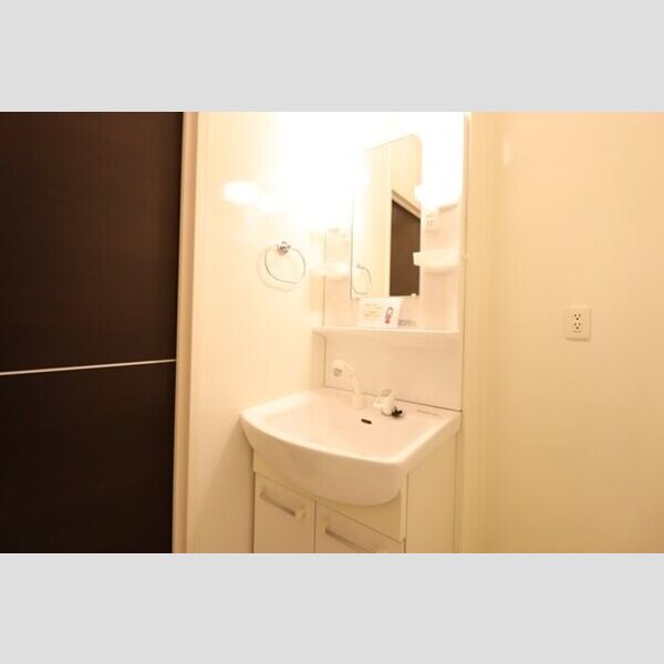 洗面所 (洗髪洗面化粧台)