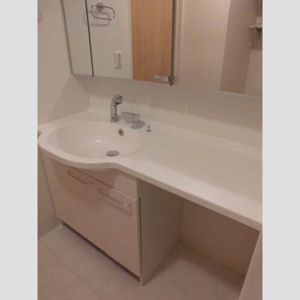 洗面所 (洗髪洗面化粧台)