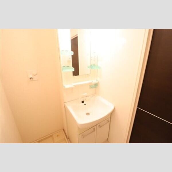 洗面所 (洗髪洗面化粧台)