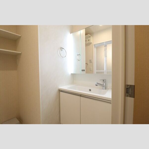 洗面所 (洗髪洗面化粧台)