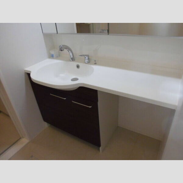 洗面所 (洗髪洗面化粧台)