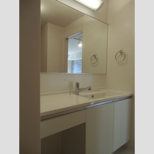 洗面所 (洗髪洗面化粧台)