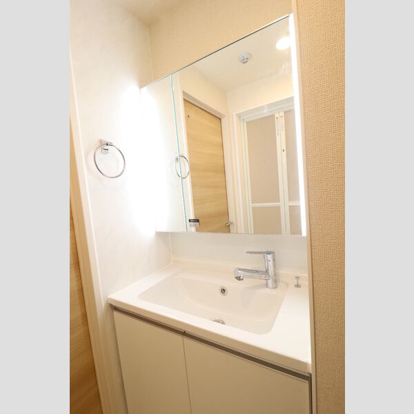 洗面所 (洗髪洗面化粧台)