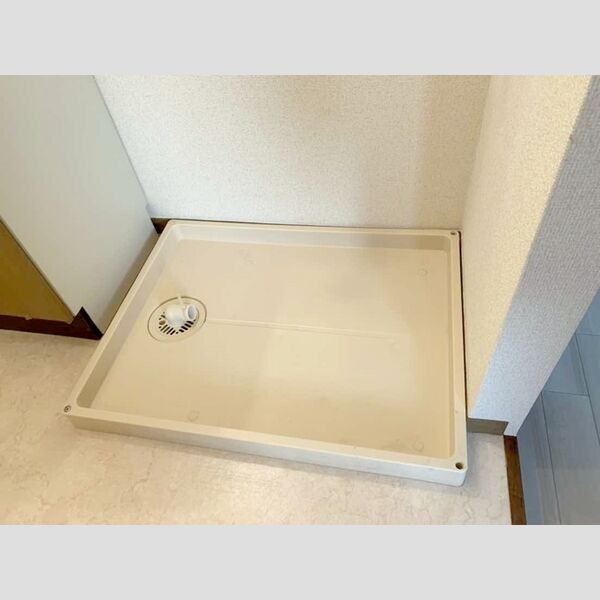 その他 (室内洗濯機置き場)