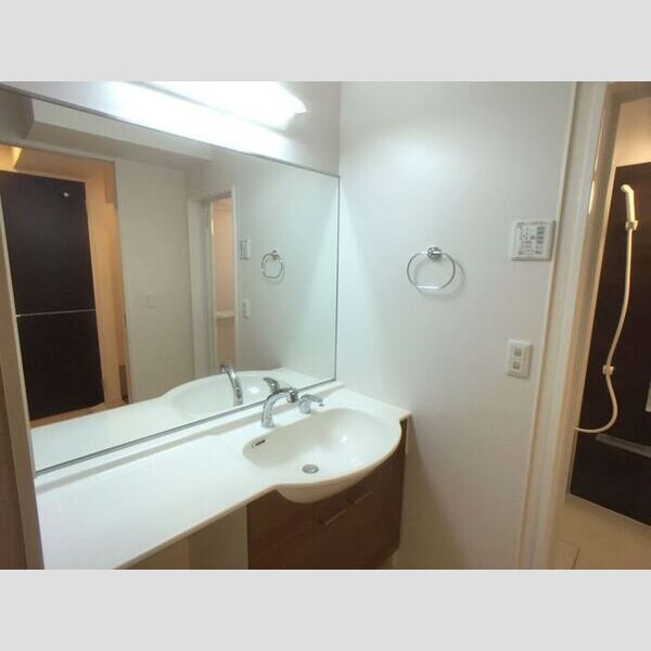 洗面所 (洗髪洗面化粧台)