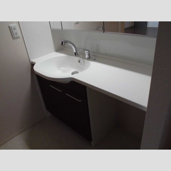 洗面所 (洗髪洗面化粧台)