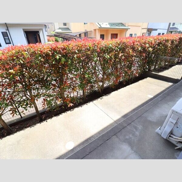 その他 (専用庭)