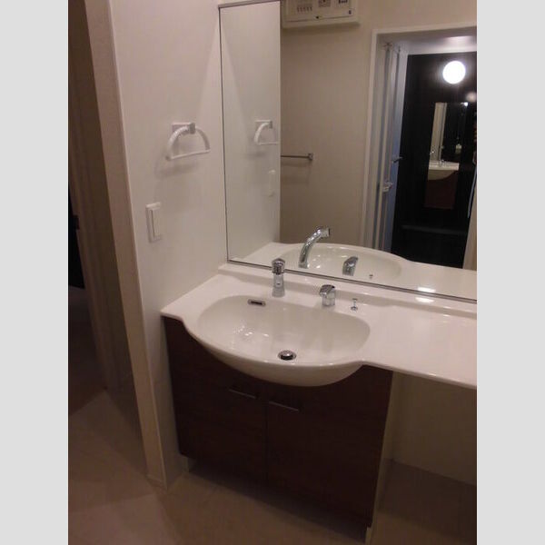 洗面所 (洗髪洗面化粧台)