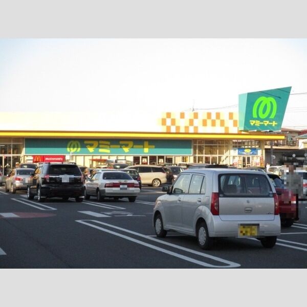 現地周辺 (マクドナルド 松戸高塚マミーマート店(395m))