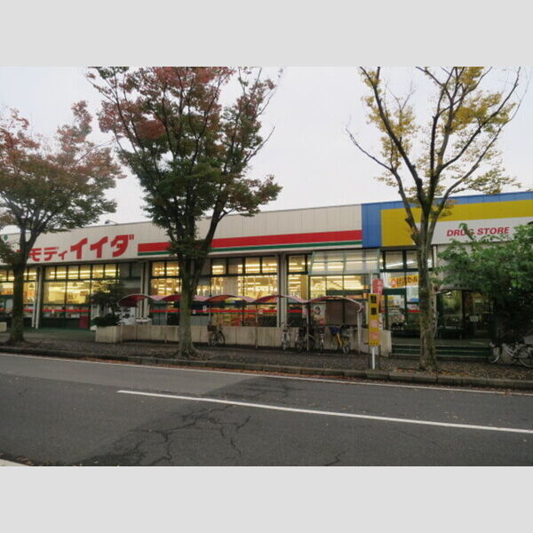 現地周辺 (コモディイイダ　新松戸店)
