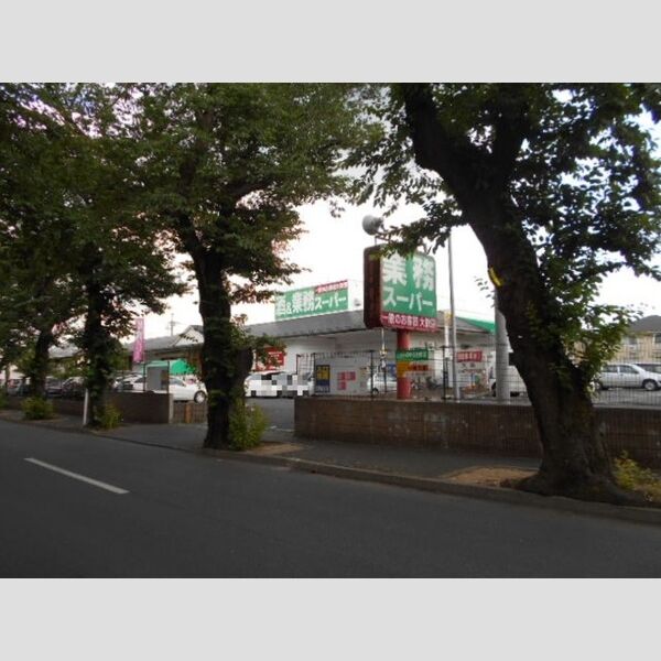 現地周辺 (業務スーパー常盤平店(72m))
