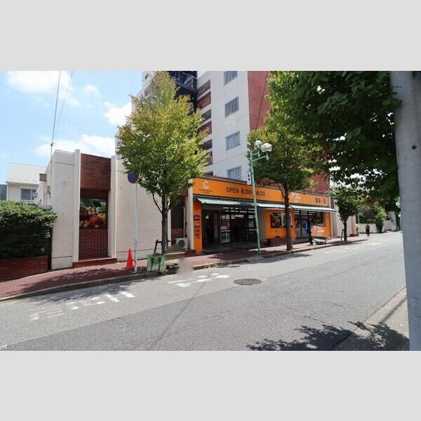 現地周辺 (アコレ新松戸3丁目店(424m))