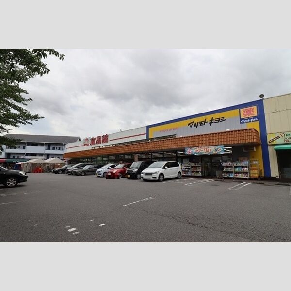 現地周辺 (おっ母さん食品館八ヶ崎店(899m))