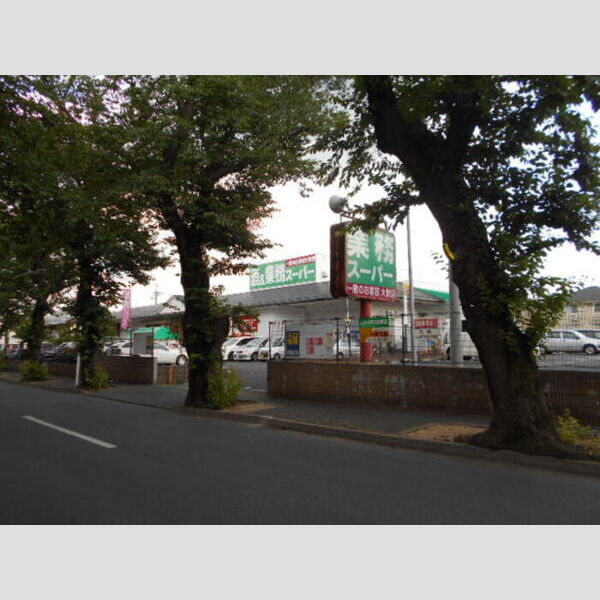 現地周辺 (業務スーパー常盤平店(71m))