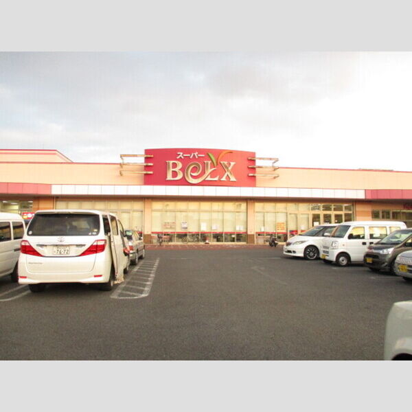 現地周辺 (ベルクス　松飛台店(542m))