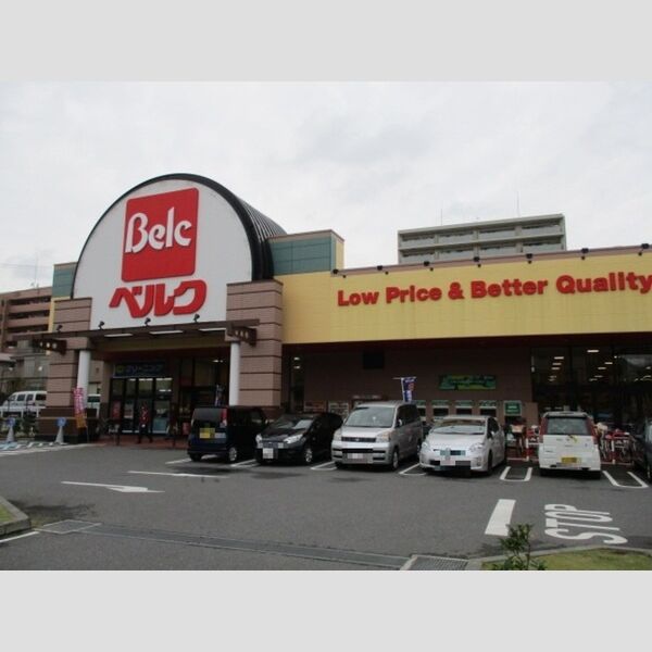 現地周辺 (ベルク松戸秋山店(307m))